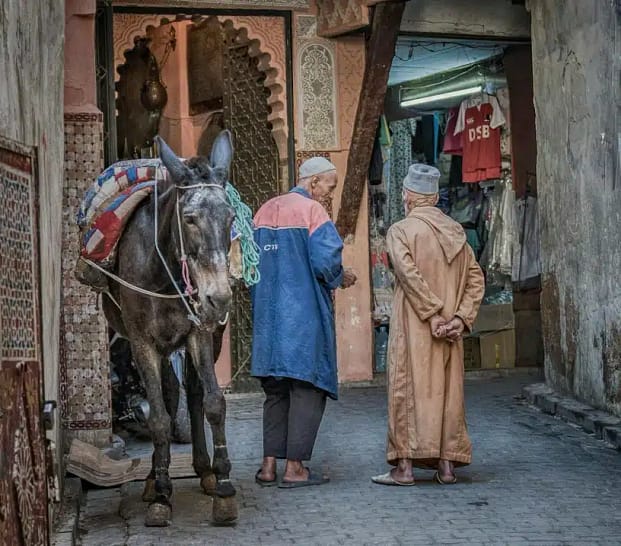 Meknes